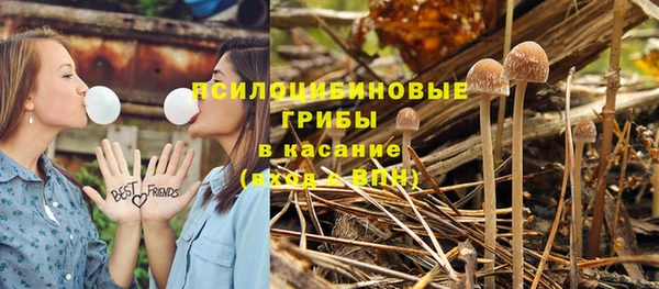 гидропоника Бронницы