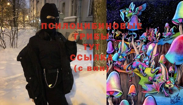 гидропоника Бронницы