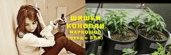 кокс Верея