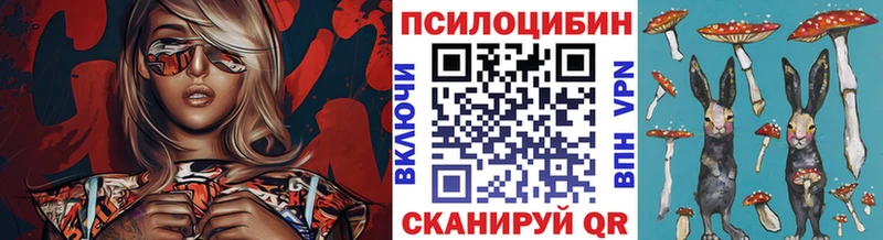 Купить закладки  Лесозаводск  Псилоцибиновые грибы мухоморы 